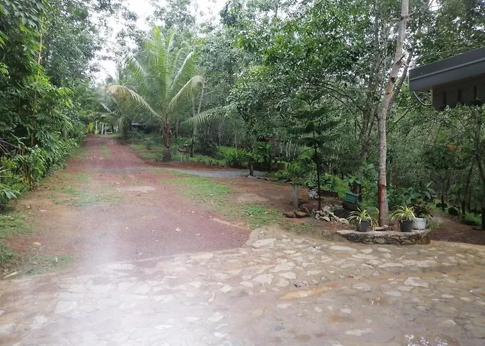 Schumi Natural VillaVilla